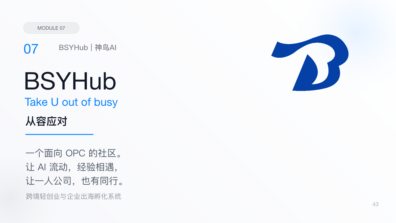 BSYHub 神鸟AI