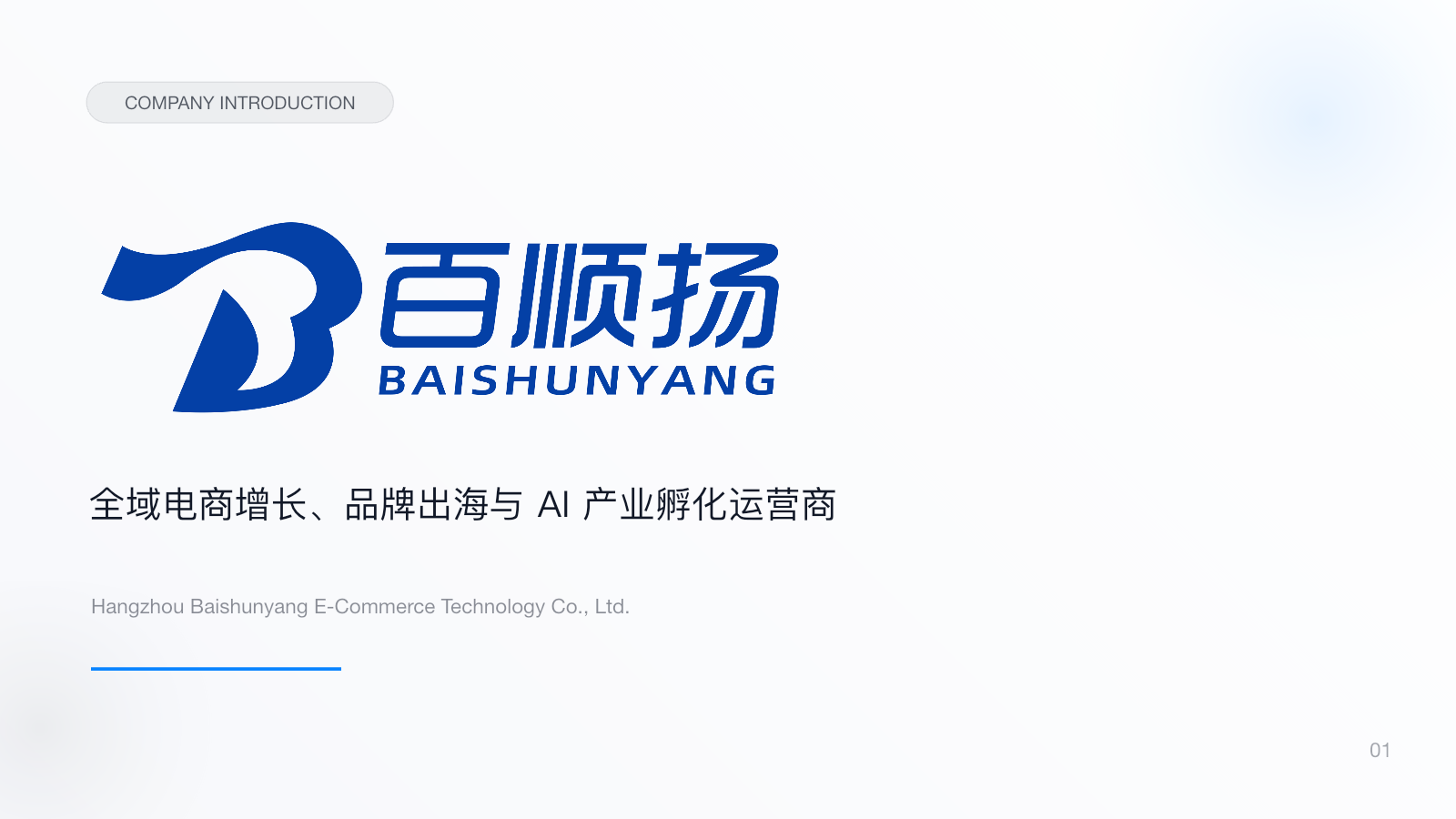 百顺扬公司简介封面
