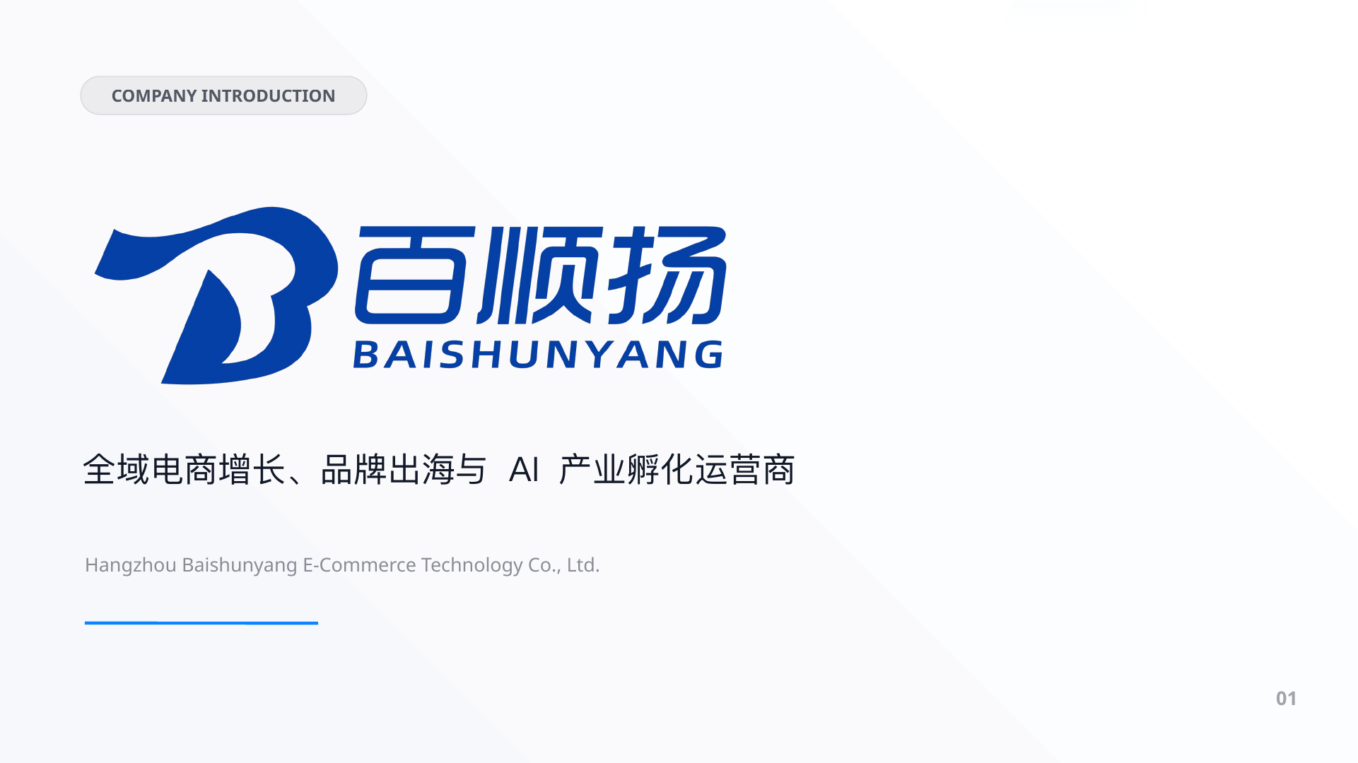 百顺扬公司简介封面预览